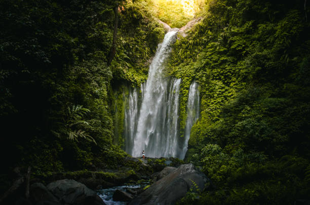 Sendang Gile & Tiu Kelep Waterfall Tour